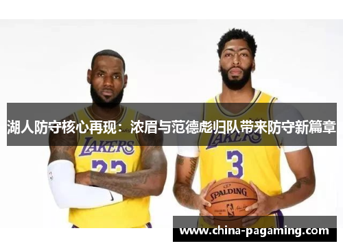 湖人防守核心再现：浓眉与范德彪归队带来防守新篇章